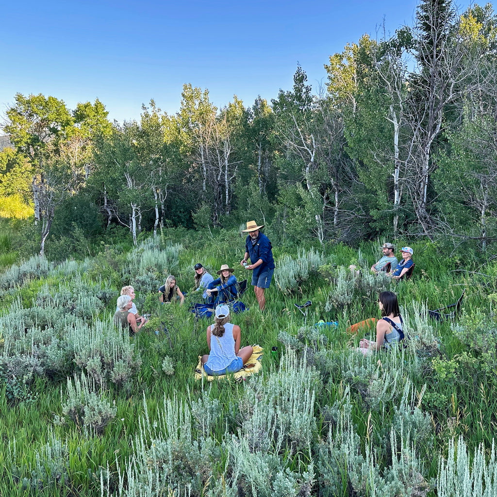 Forest Bathing in Park City – Indigo Highway - Park City, Utah