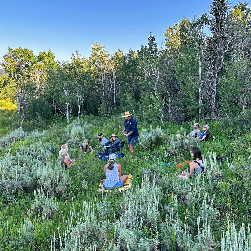 Forest Bathing in Park City