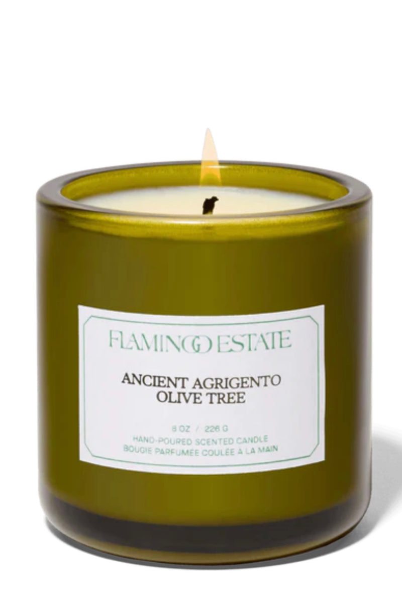 Ancient Olive Tree Candle