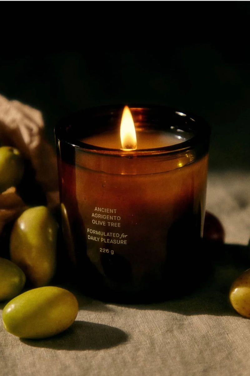 Ancient Olive Tree Candle