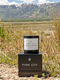 Candle labeled 'Park City Wildflowers' on a stand with a mountainous landscape in the background